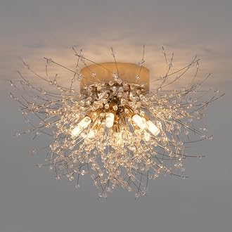 Amazon.co.jp: Chende: シーリングライト